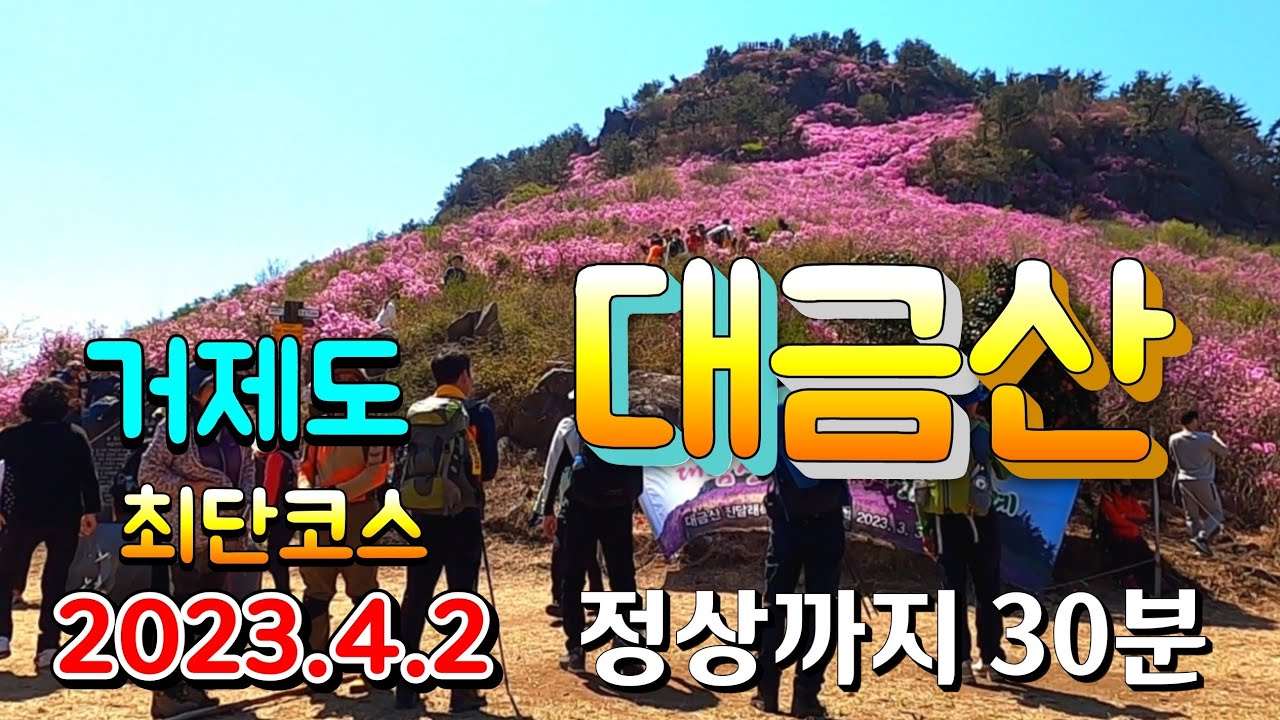 [거제도 대금산] #초 절정 최단 코스 왕복 1시간 #짭짤이 토마토 2023.4.2