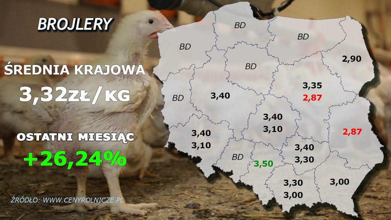 #115 agro wiadomości nonstop - 04 01 2021