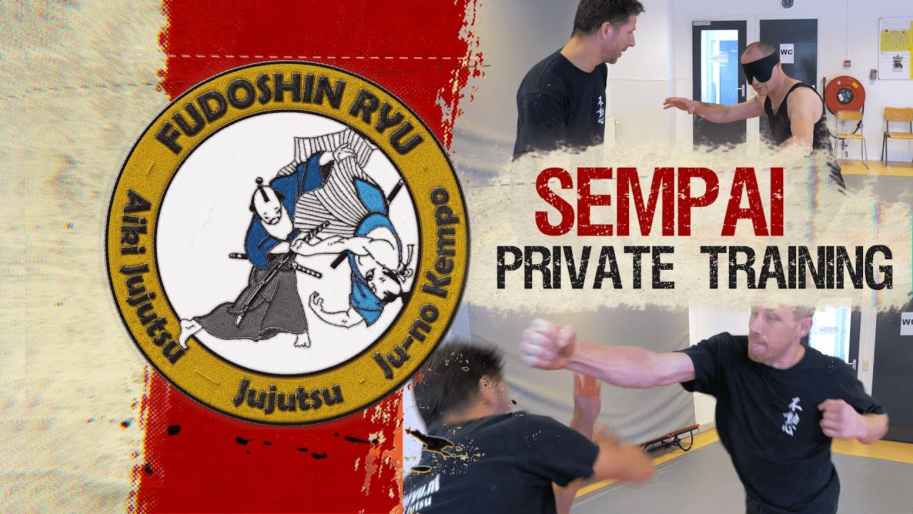 Punch Drill - Aiki Jujutsu - Working on Reflexes & Flexibility - Fudoshinryu