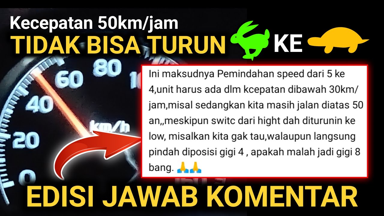 APA YANG AKAN TERJADI Jika Pindah Kelinci Kura-Kura Di Kecepatan 50km/jam HINO 500