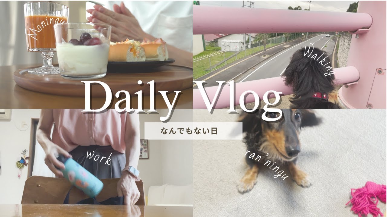 Vlog》ひとりと相棒ワンコとの暮らし/金曜～休日のひととき/自炊と趣味を楽しむ