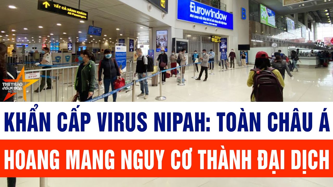 Tin thế giới: Khẩn cấp virus Nipah: Toàn châu Á hoang mang nguy cơ thành đại dịch