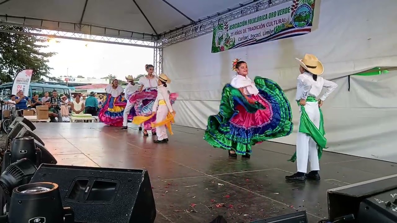 Infantil Aniversario Oro Verde