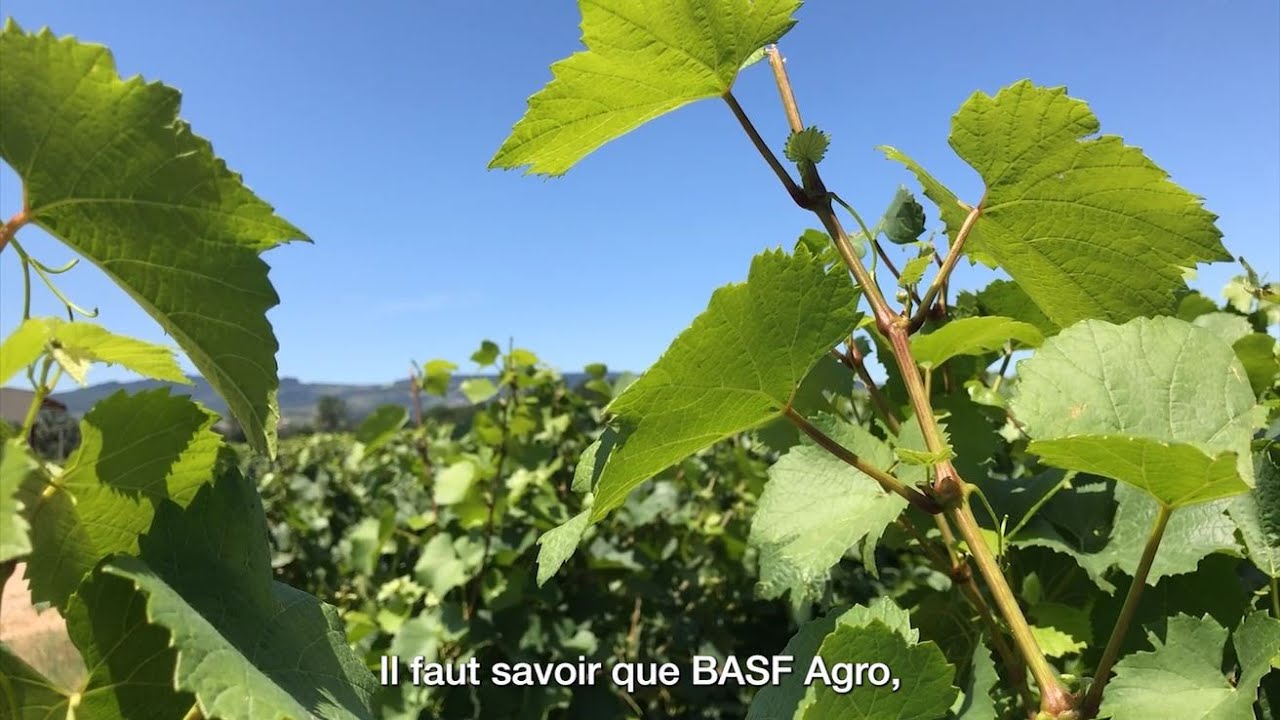 Les engagements pour la biodiversité de BASF en France - Géraldine Dufournel et Pascal Lacroix