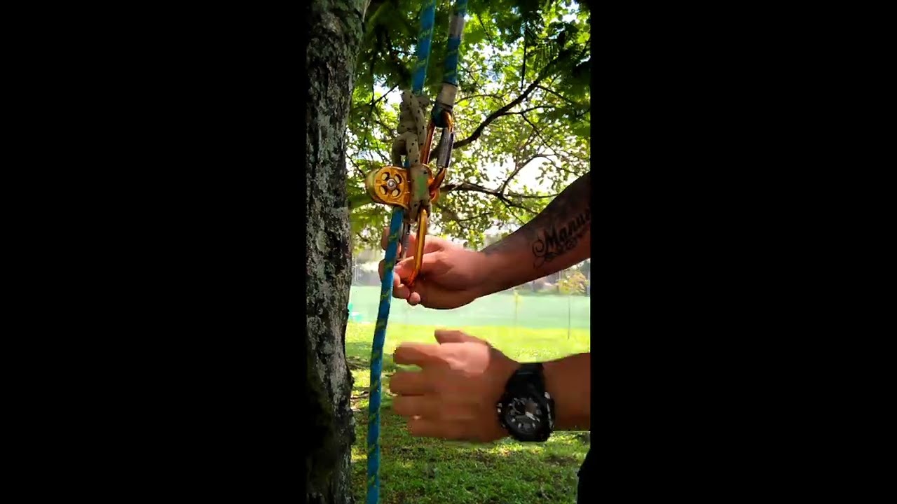Aprende a trepar arboles de manera segura.