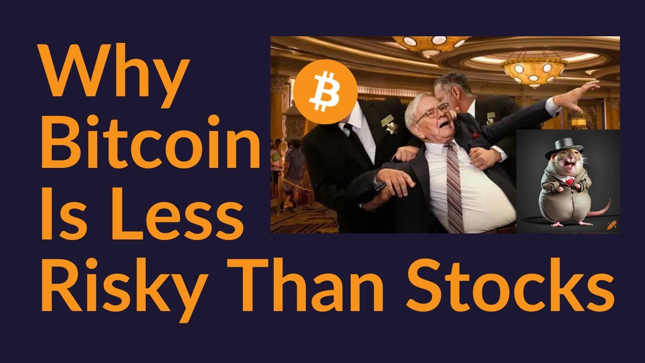 Why Bitcoin Is Less Risky Than Stocks