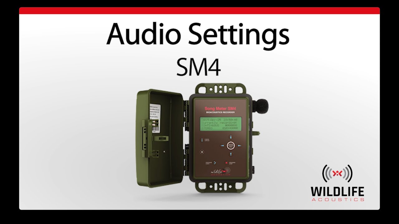 Song Meter SM4, Part 3/8: Audio Settings | Wildlife Sound Recorder