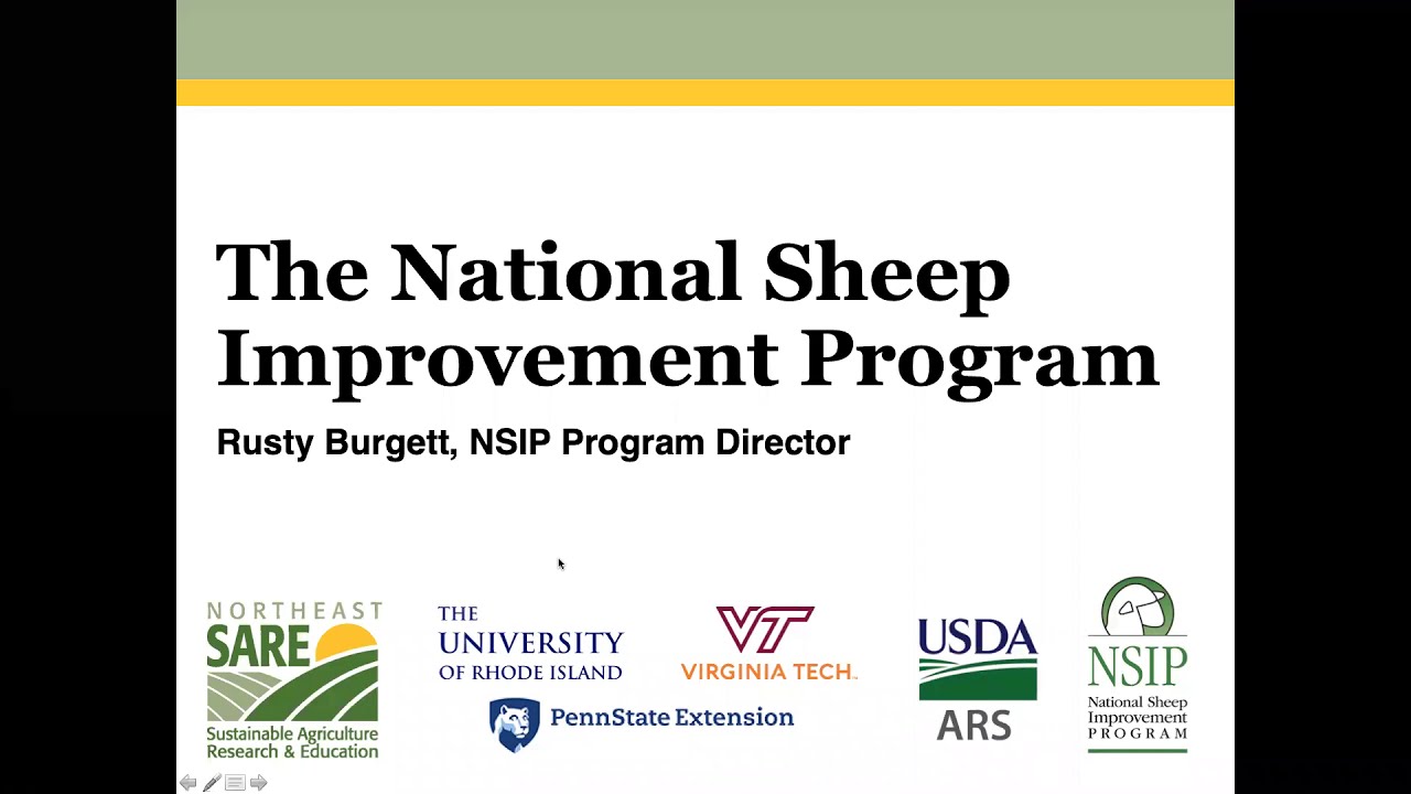 Introduction to the National Sheep Improvement Program