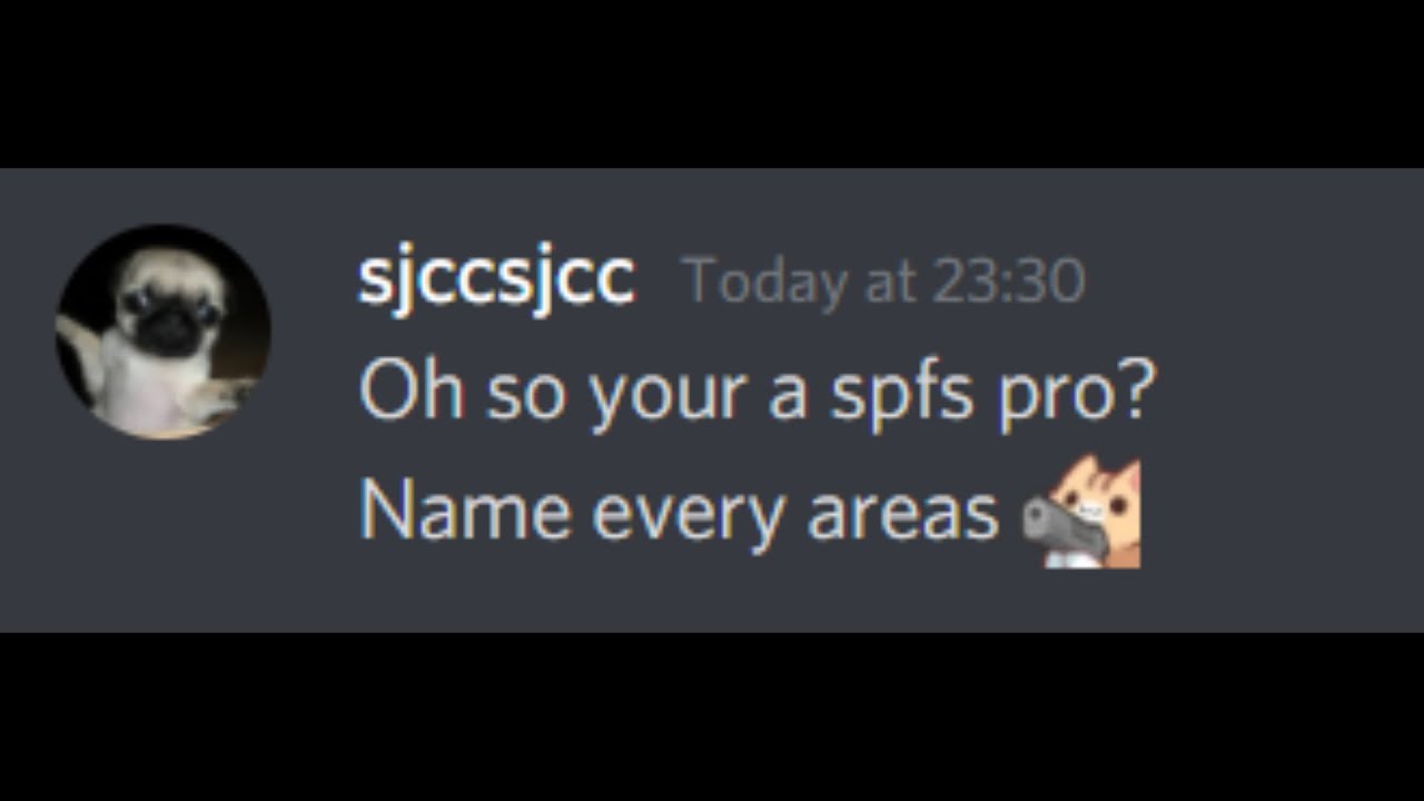 Oh so your a pro in spfs? Name every Areas.