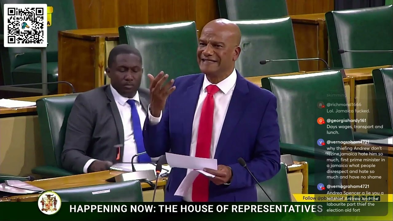 PNP MP Peter Bunting Sitting of the House of Representative