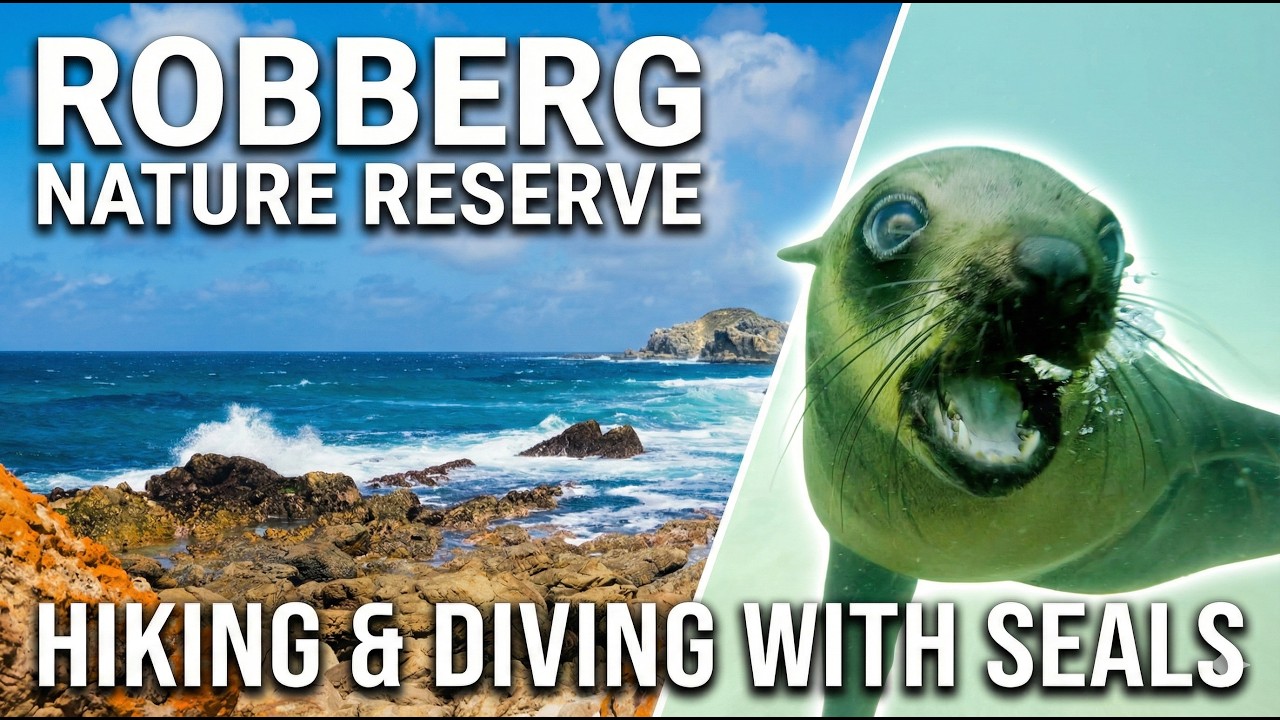 Robberg Nature Reserve: Point Circuit Hike + Seal Dive | Plettenberg Bay (2026)