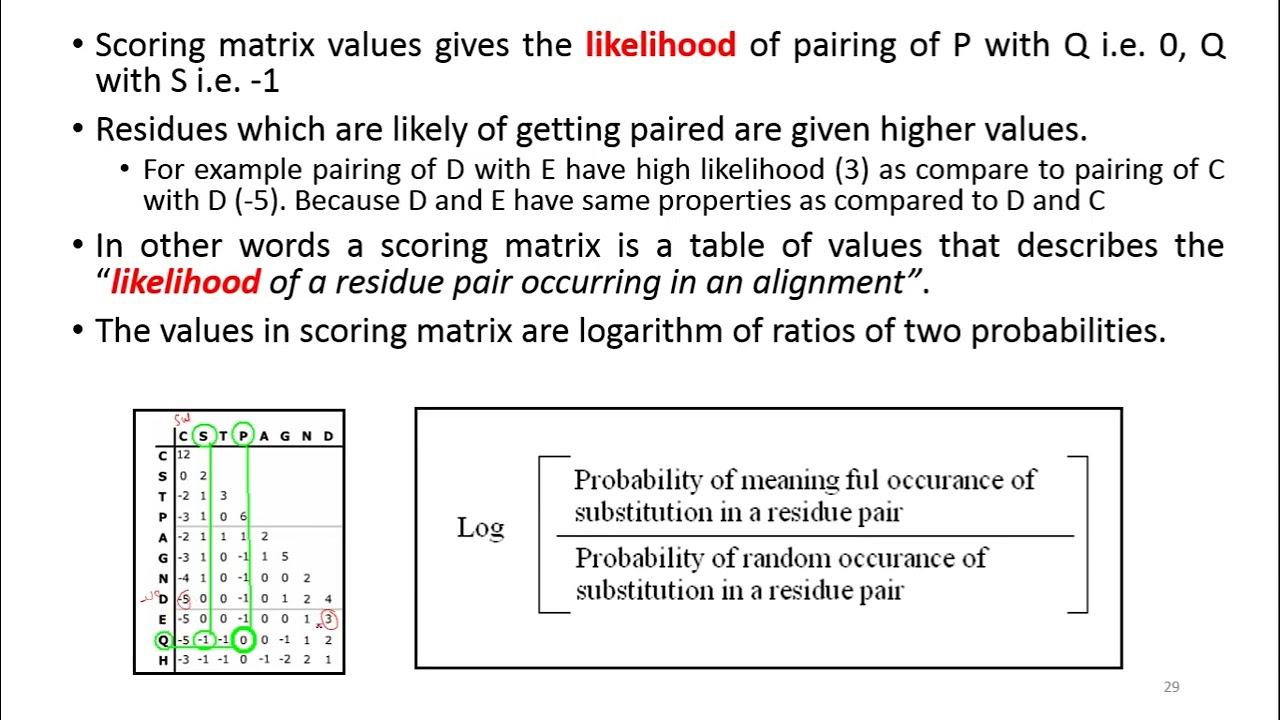 Scoring Schemes in Pairwise Alignments