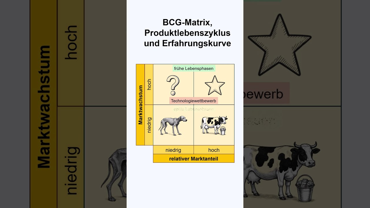 Zusammenhang Marktanteils-Marktwachstumsportfolio, Produktlebenszyklus und Erfahrungskurve