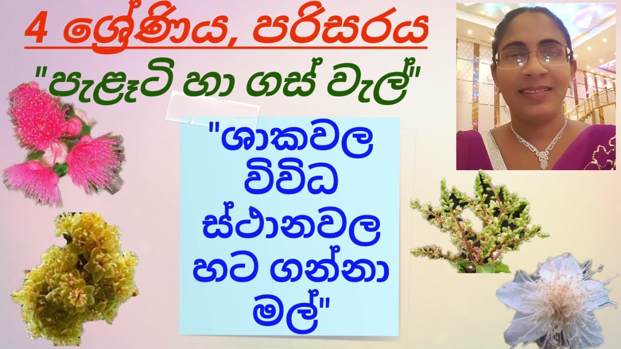 Flowers/Grade 4/ parisaraya/4 ශ්‍රේණිය/ පරිසරය/ශාකවල විවිධ ස්ථානවල හට ගන්නා මල්.