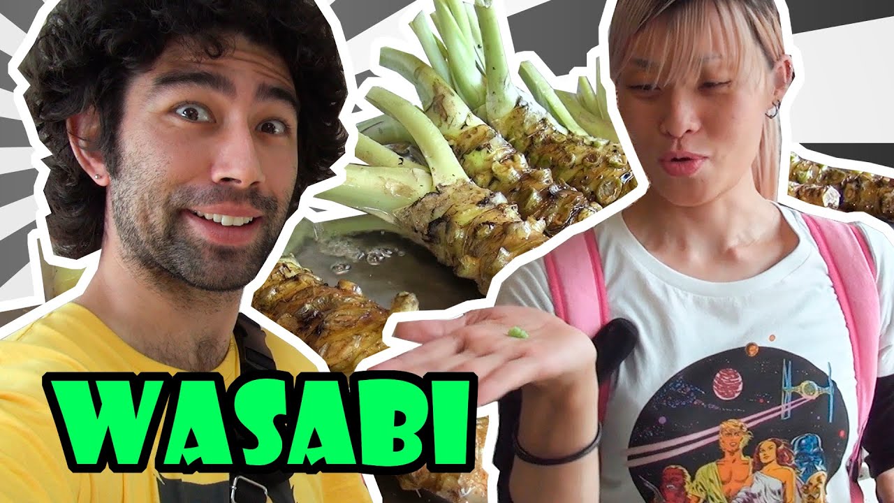 A MAIOR FAZENDA DE WASABI DO JAPÃO (大王わさび農場) - Japão Nosso De Cada Dia