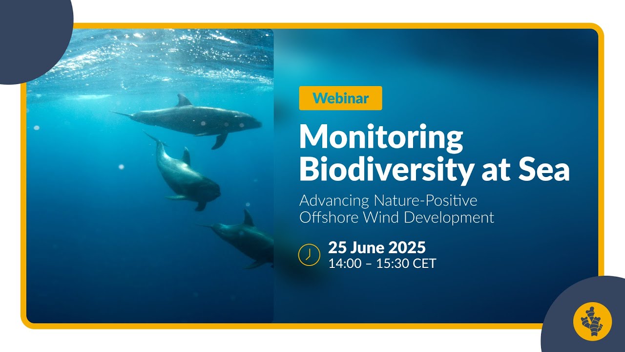 Monitoring Biodiversity at Sea: Advancing Nature-Positive Offshore Wind Development