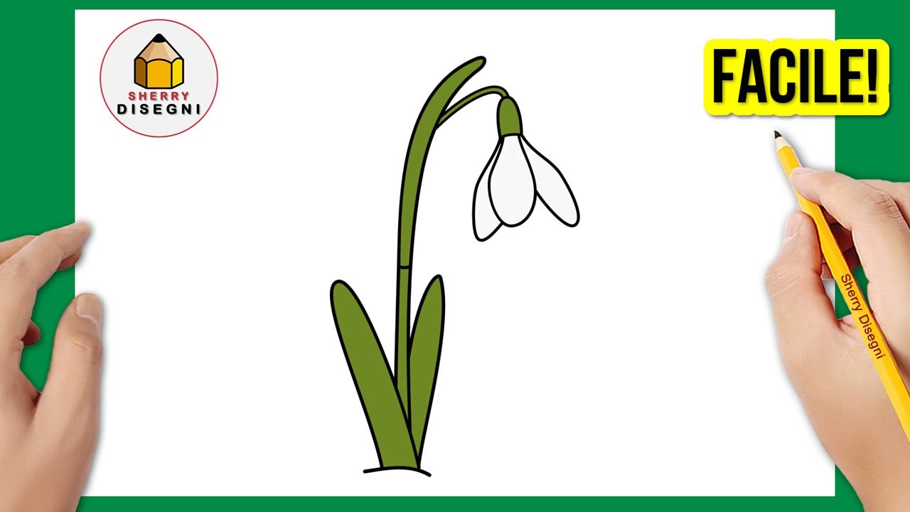 Come Disegnare un Fiore di Bucaneve Facile