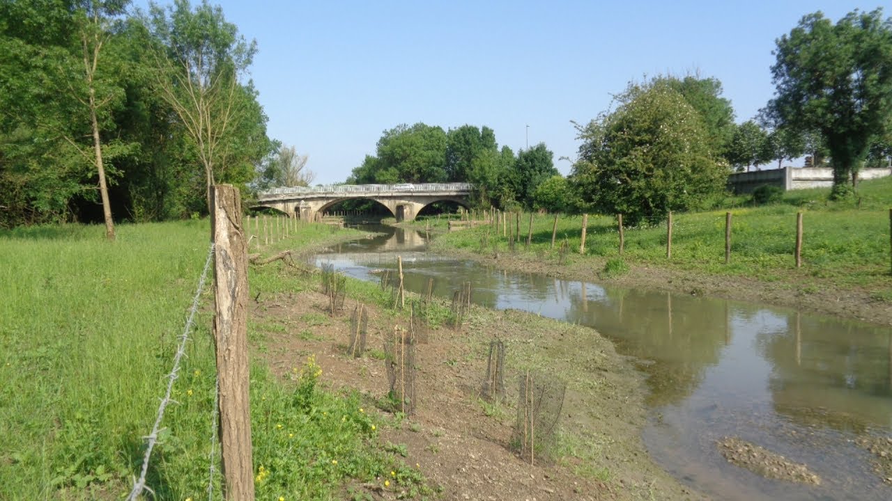 Restauration de la Thalie sur le territoire du Grand Chalon (71) / AMO EPTB Saône et Doubs