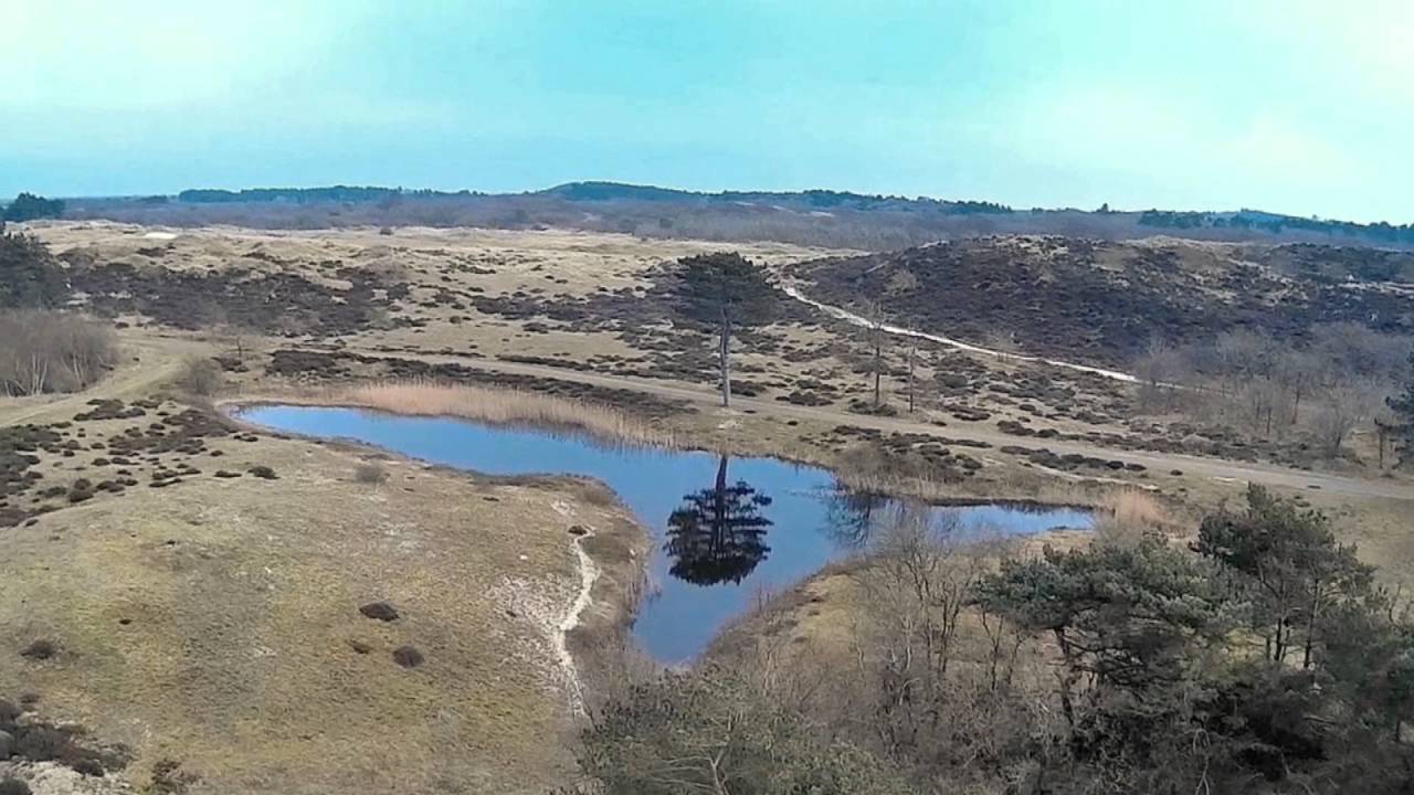 Strand en duinen rond Bergen aan Zee