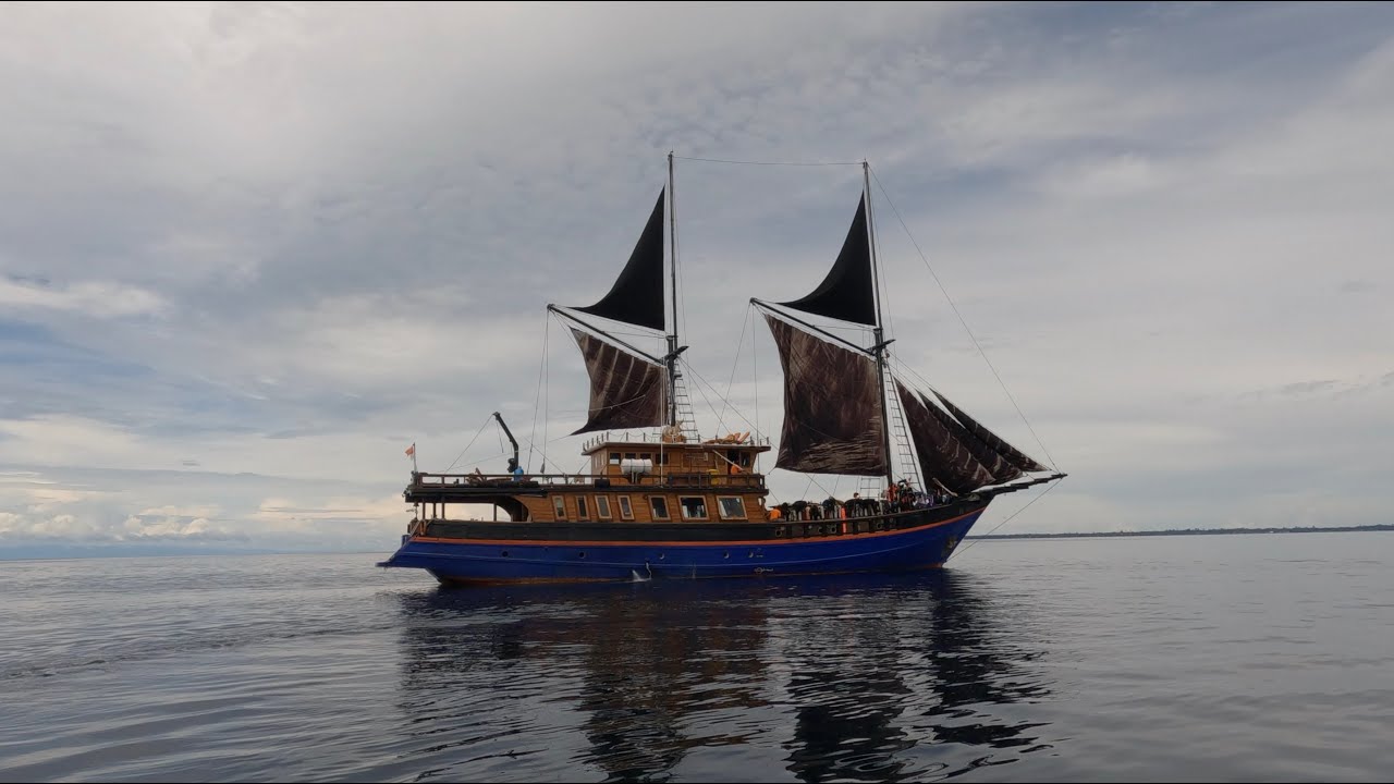 Raja Ampat to Triton Bay (Ilike liveaboard) 2022 (4K)