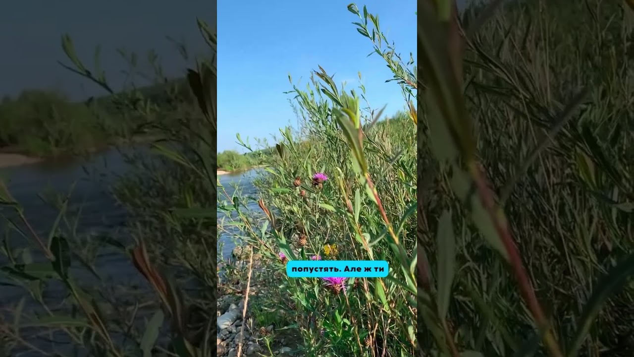 Хто з них мудрий?