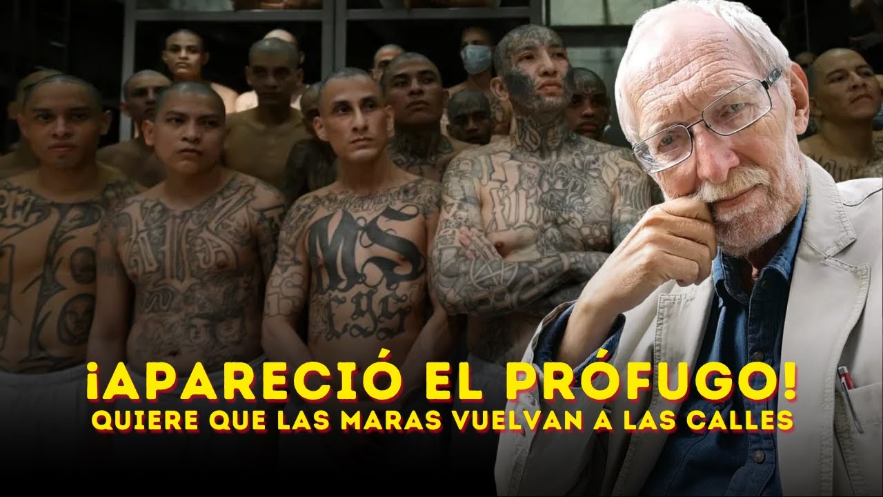 ¡ALERTA NACIONAL! Quieren que las pandillas vuelvan a las calles
