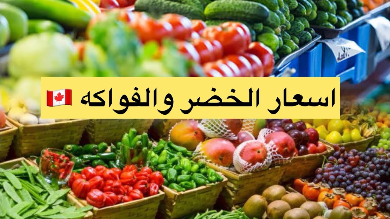 تكلفه المعيشه في 2025 في كندا 🇨🇦 اسعار الخضر والفواكه في المحلات الكنديه الجزء 1🇨🇦