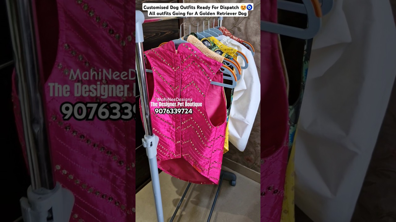 Designer Customised Wedding Dog Outfit Golden Retriever😍#dogdress#dogsherwani#Shorts#weddingclothing