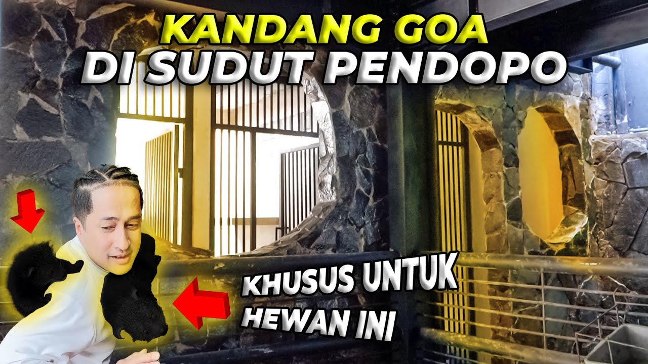 #96 PENDOPO | DIKIRA JADI KANDANG BIASA, TERNYATA KANDANG BINTURONG HASILNYA MENCENANGKAN