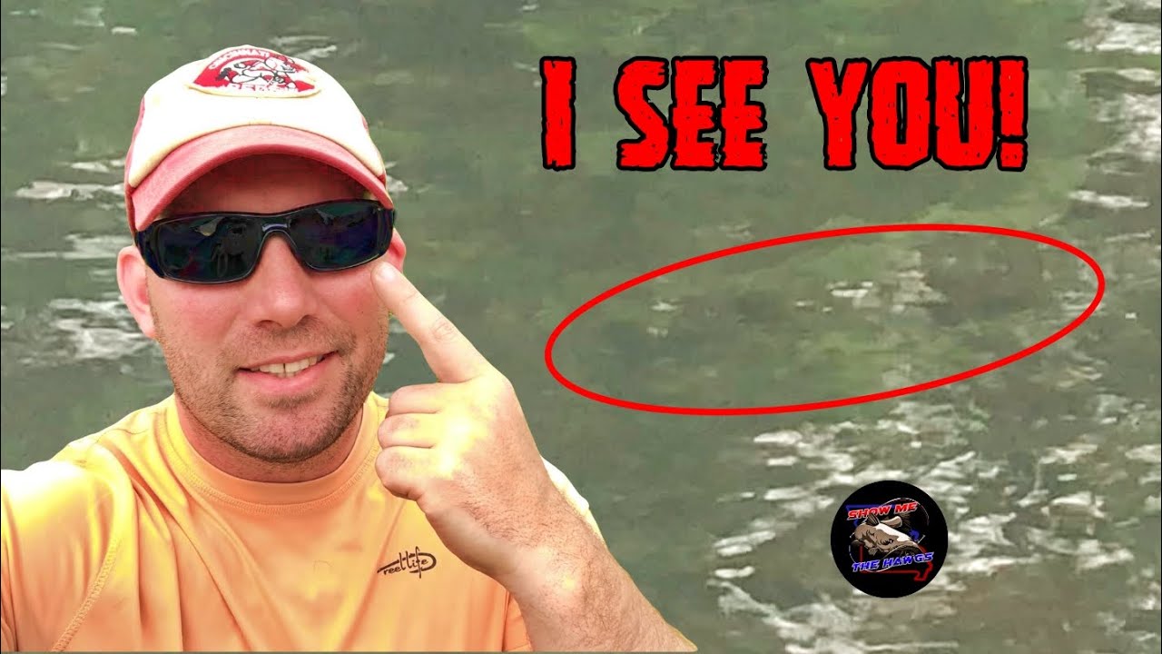 This Makes a BIG Difference Spotting Fish