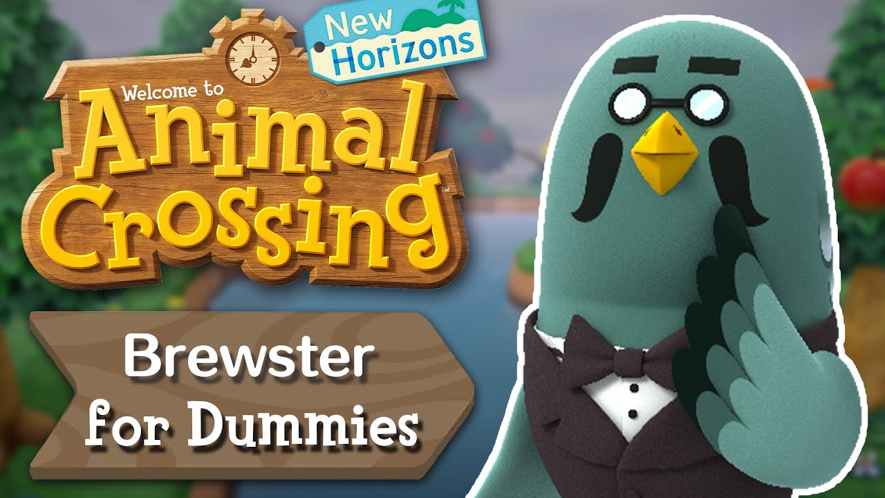 Brewster for Dummies