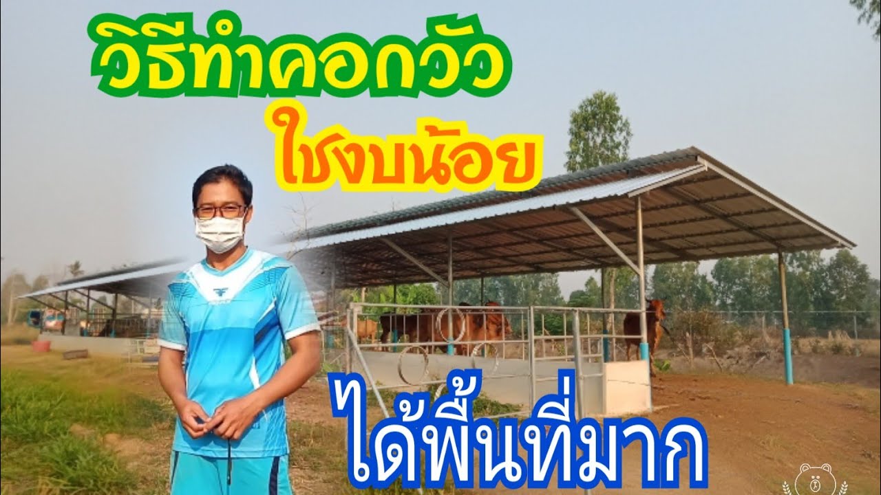 วิธี!!ทำคอกวัวให้มีมาตรฐานใช้งบน้อย แต่ได้พื้นที่มาก