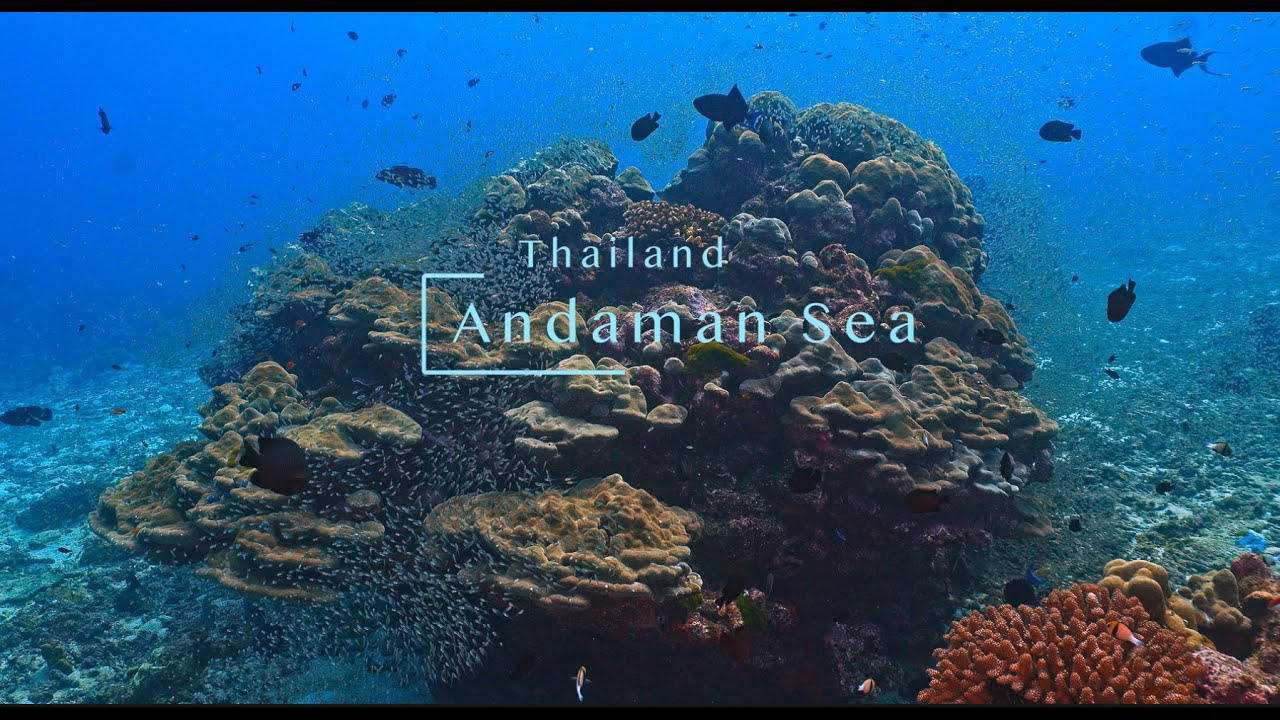 Scuba Diving the Andaman Sea