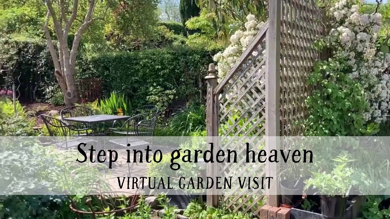 10 Statham Avenue, step into garden heaven