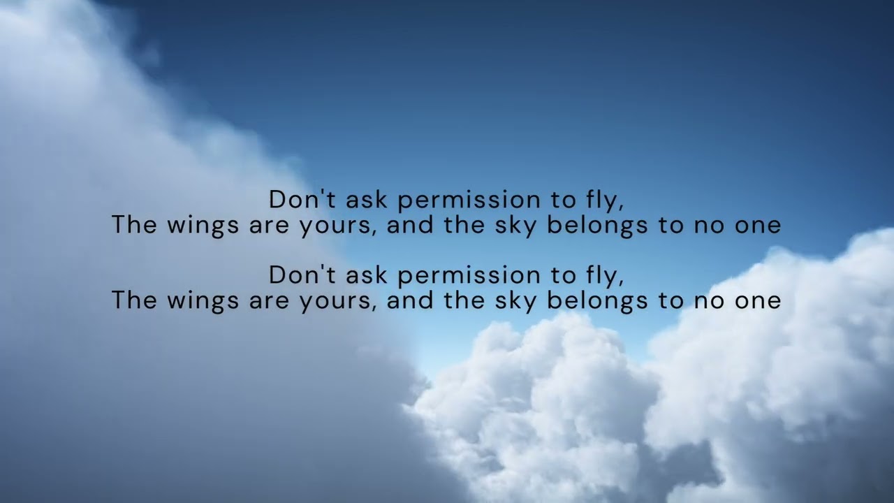 Don't Ask Permission To Fly