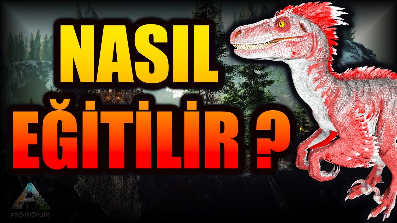 EN KOLAY RAPTOR EVCİLLEŞTİRME