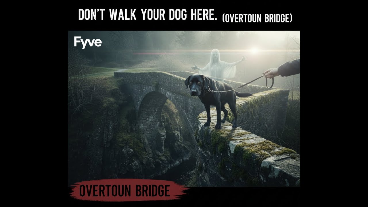 Don't Walk Your Dog Here. (Overtoun Bridge)
