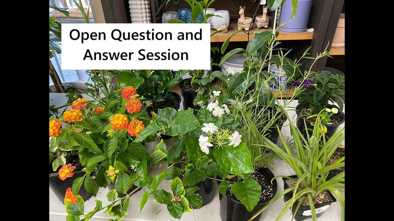 Open Question and Answer Session