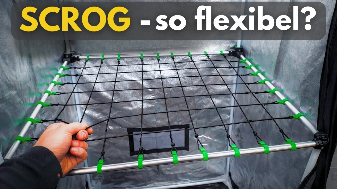 DIY SCROG Netz für die Growbox – flexibles Pflanzen Training im Grow