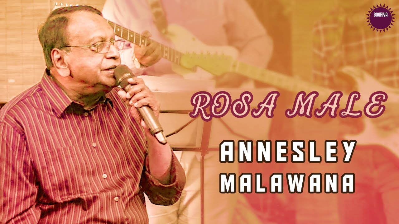 Rosa Male - Annesley Malawana