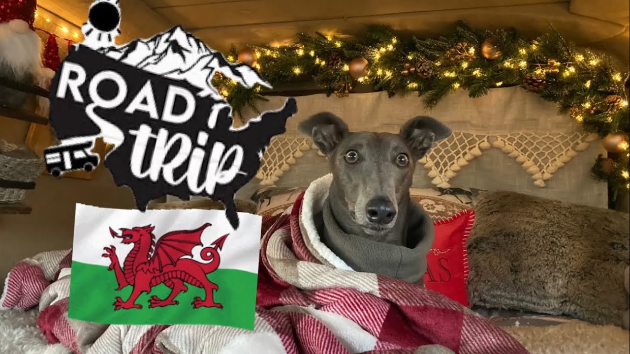 GREYHOUND CAMPER VAN trip to SNOWDONIA: look at our Christmassy van…