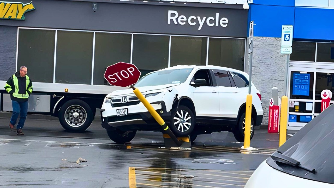 Idiots In Cars 391