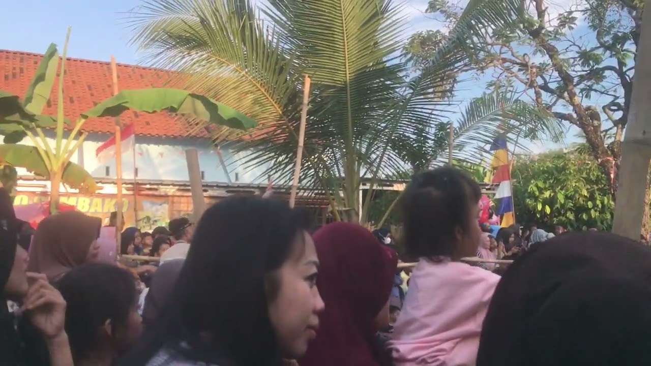 Barongan kucingan ganas dari pagersari masuk kedesa pajaresuk pringsewu lampung