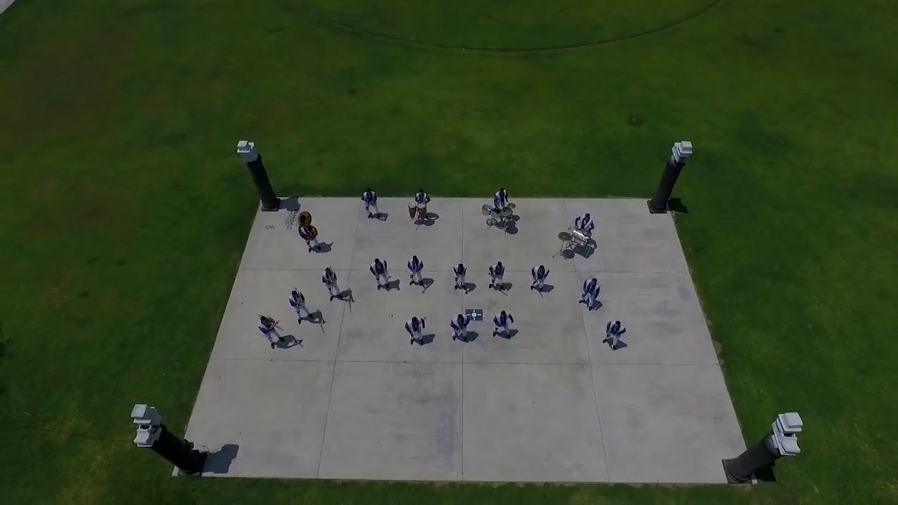 BANDA PALMA DE ORO 