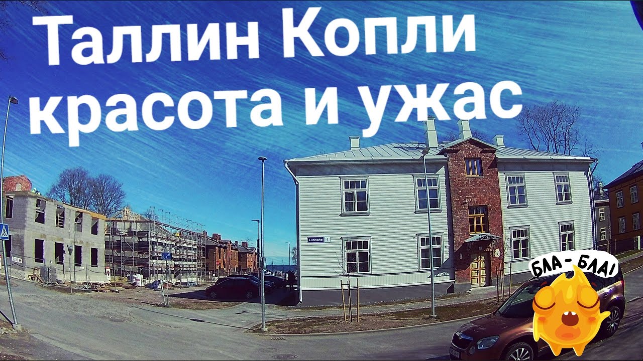 Таллин Копли | красота и ужас