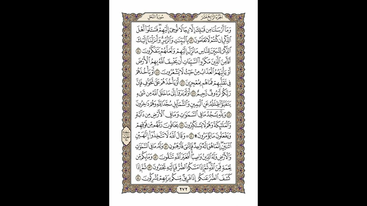 الوجه 272 من القرآن مكرر ١٠ مرات مع الآيات | سورة النحل | الشيخ خليفة الطنيجي