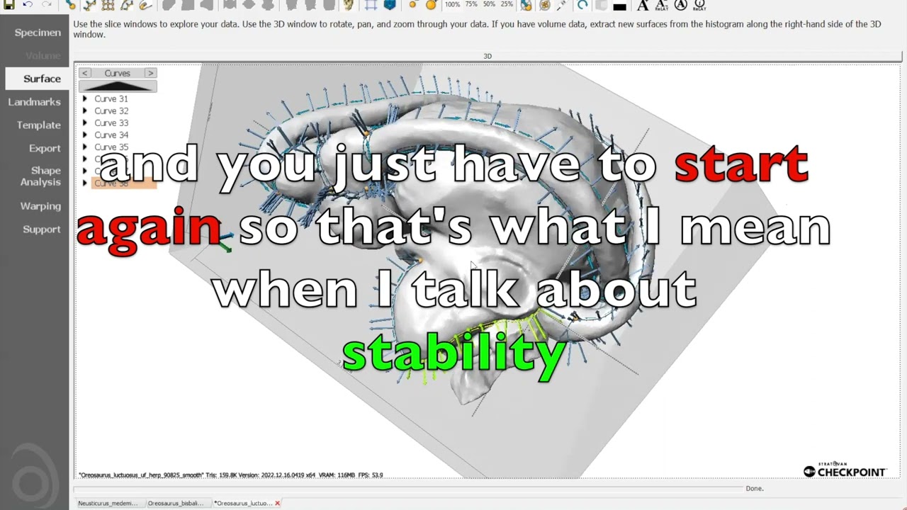 [Testimonial] The stability of Checkpoint relative to other Geometric Morphometrics tools