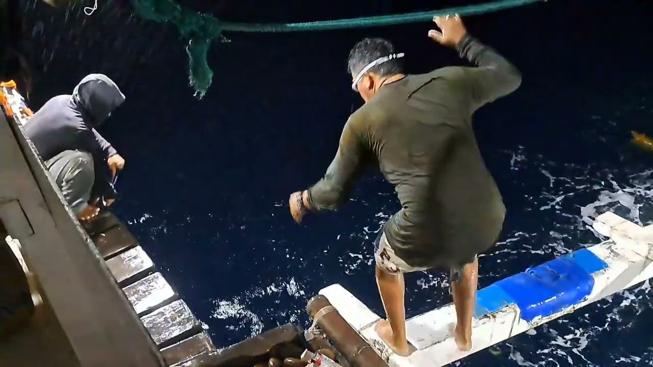 GRABI NAG DIVE PADIN KAHIT MERON NAKITANG PATING PARA HINDI LANG MASAYANG ANG ISANG TUNA BUWIS BUHAY