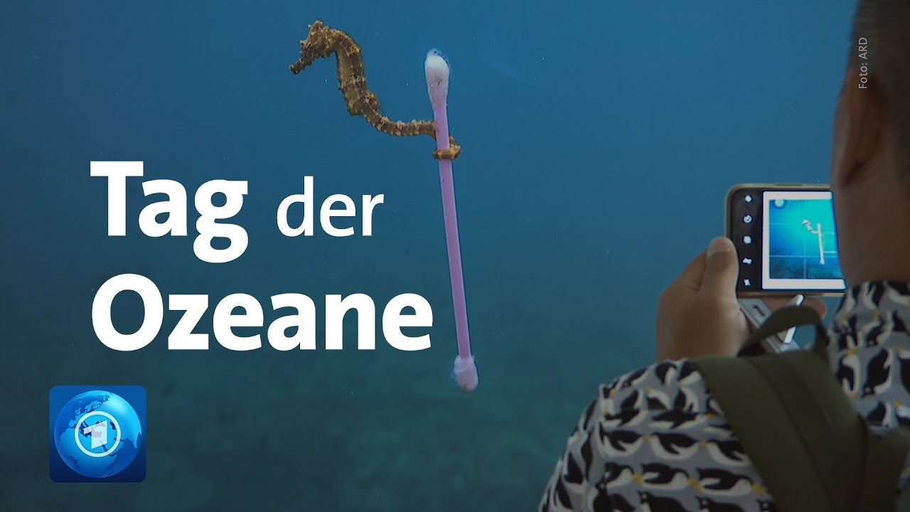 Tag der Ozeane: 8 Millionen Tonnen Plastik landen jedes Jahr im Meer