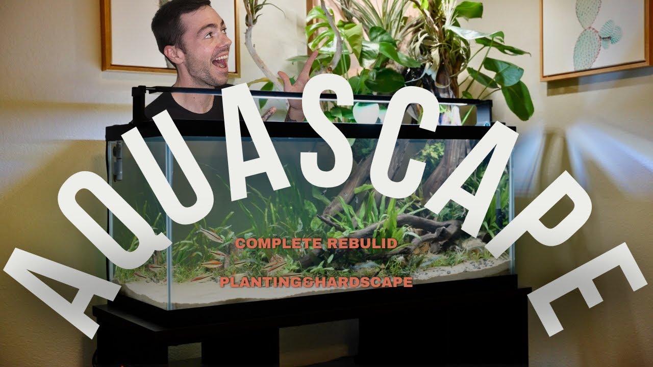 Complete Aquascaping Tutorial | Surprise Re-scape For My Wife's Tank!